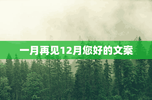 一月再见12月您好的文案(一月再见12月您好的文案怎么写)